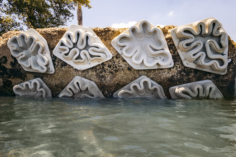Tiles on the seawall? FIU's project redefines structural ceramics and the bio-adaptation niche